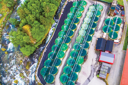 Waste Water Treatment Plant